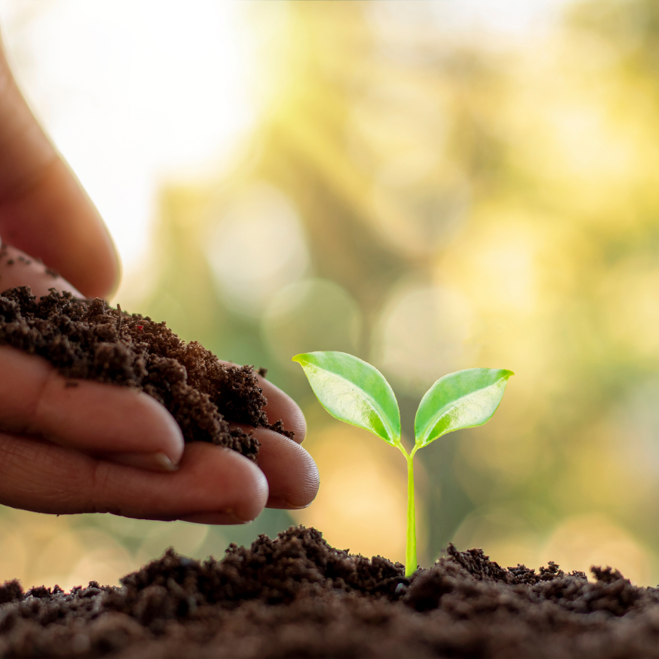 Value-Added Services